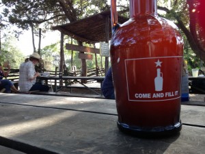 New growler visits Salt Lick